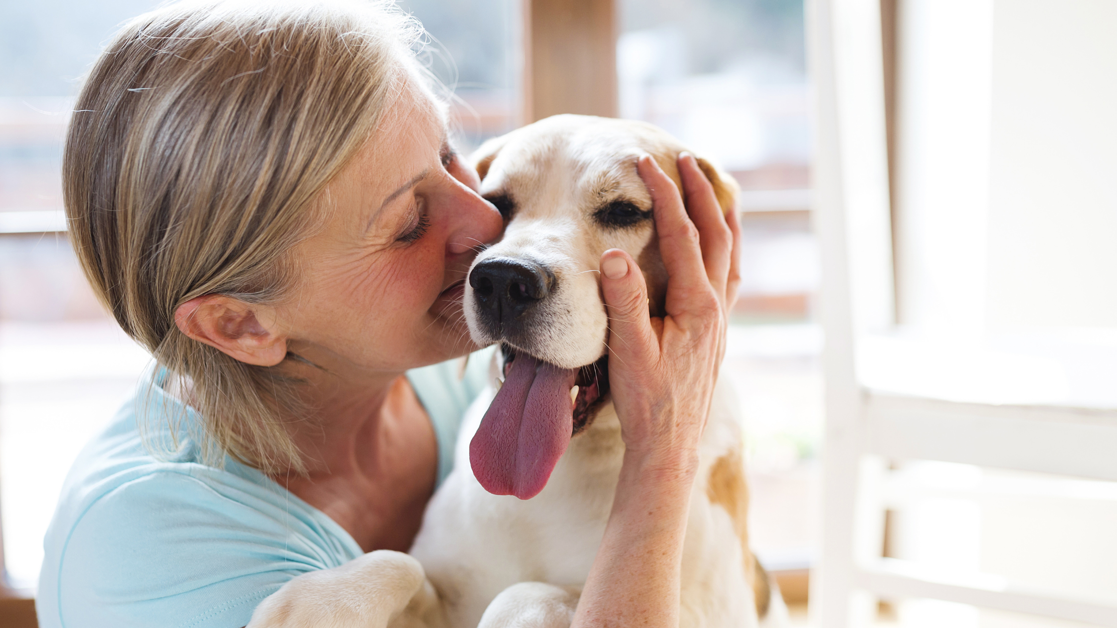 Pets And Seniors: The Positive Impact Of Animal Companionship